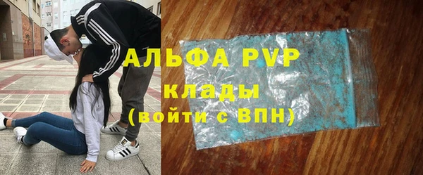прущие грибы Михайлов