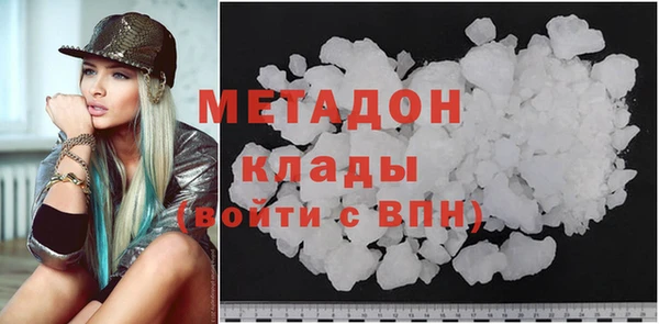 прущие грибы Михайлов