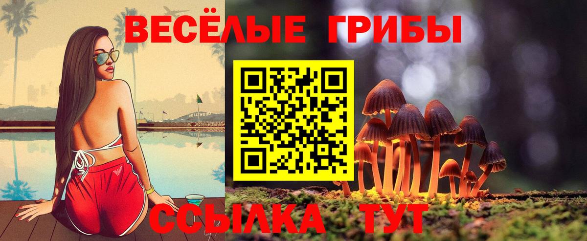 Псилоцибиновые грибы MAGIC MUSHROOMS Учалы